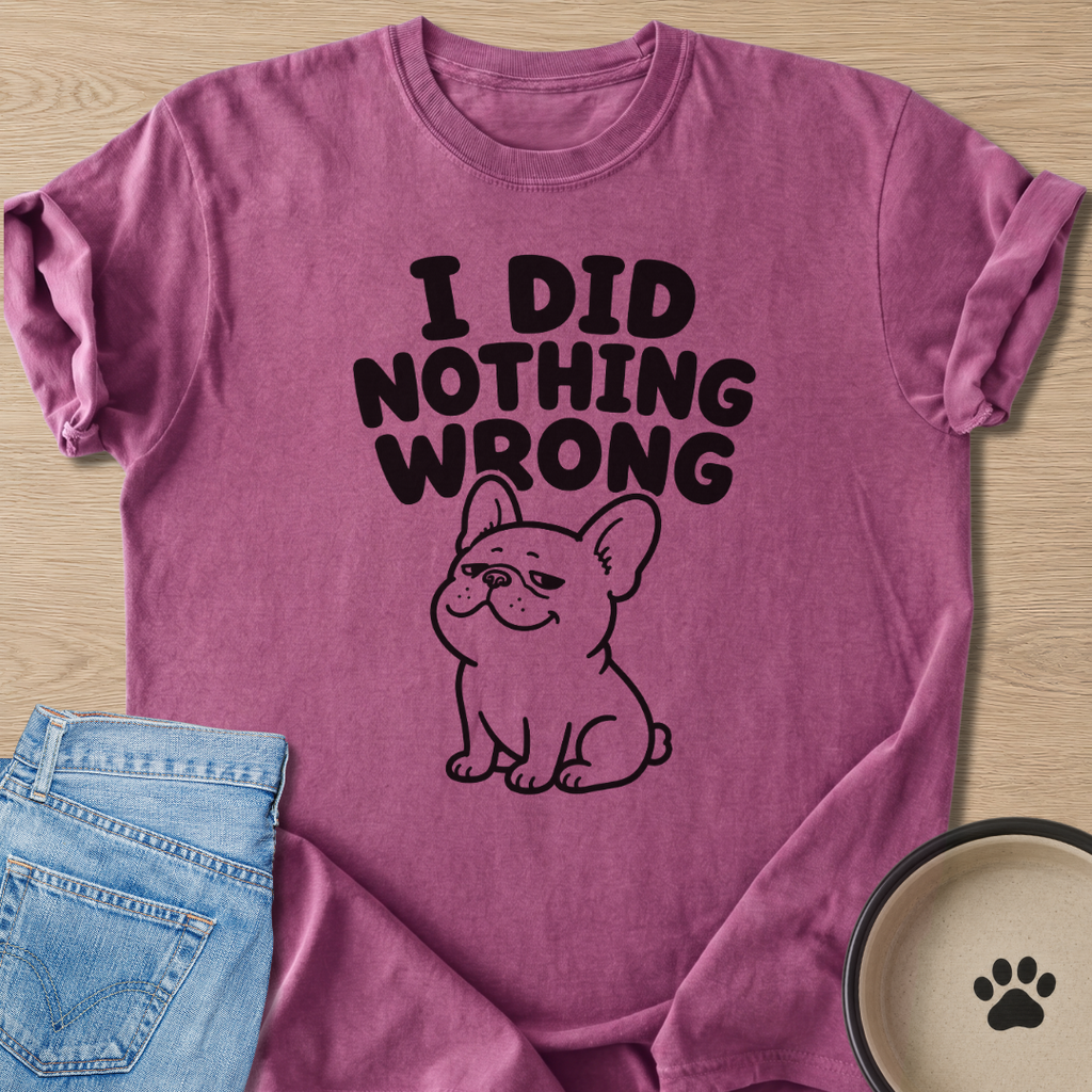 I Did Nothing Wrong T-shirt