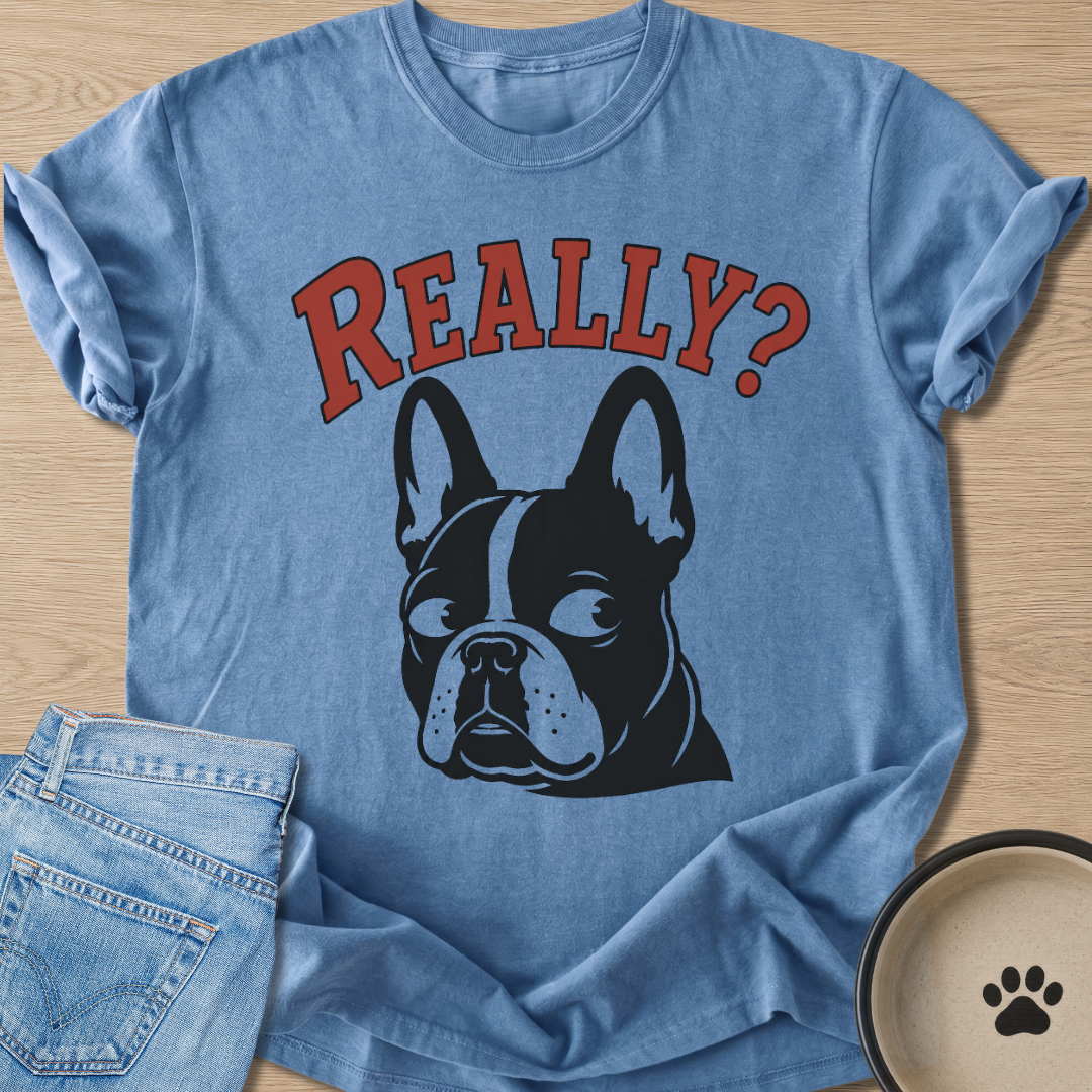 Really? T-shirt