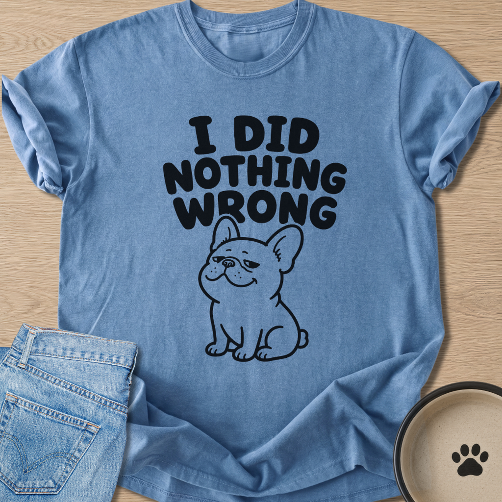 I Did Nothing Wrong T-shirt