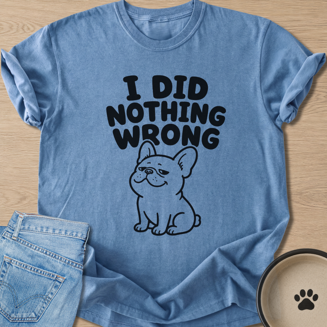 I Did Nothing Wrong T-shirt
