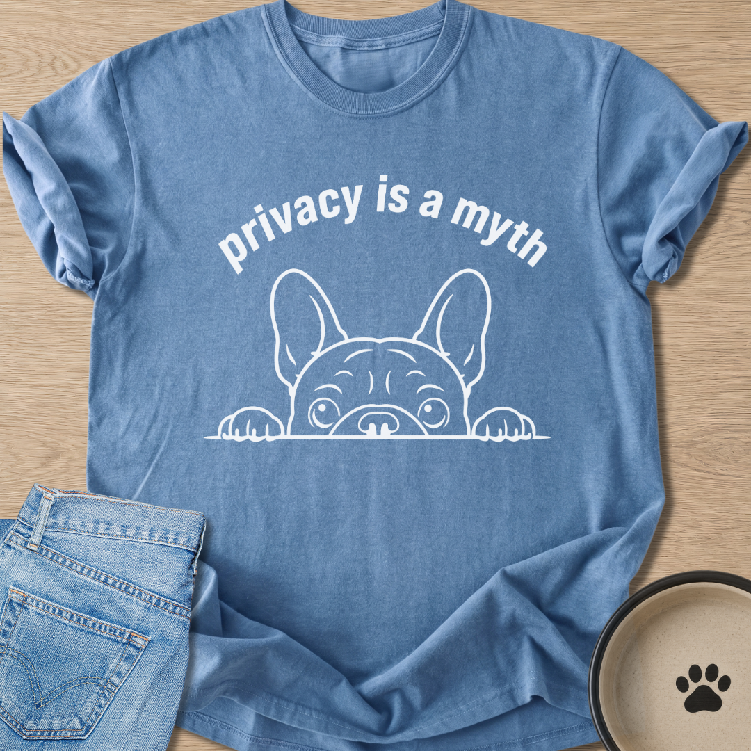 is a myth T-shirt