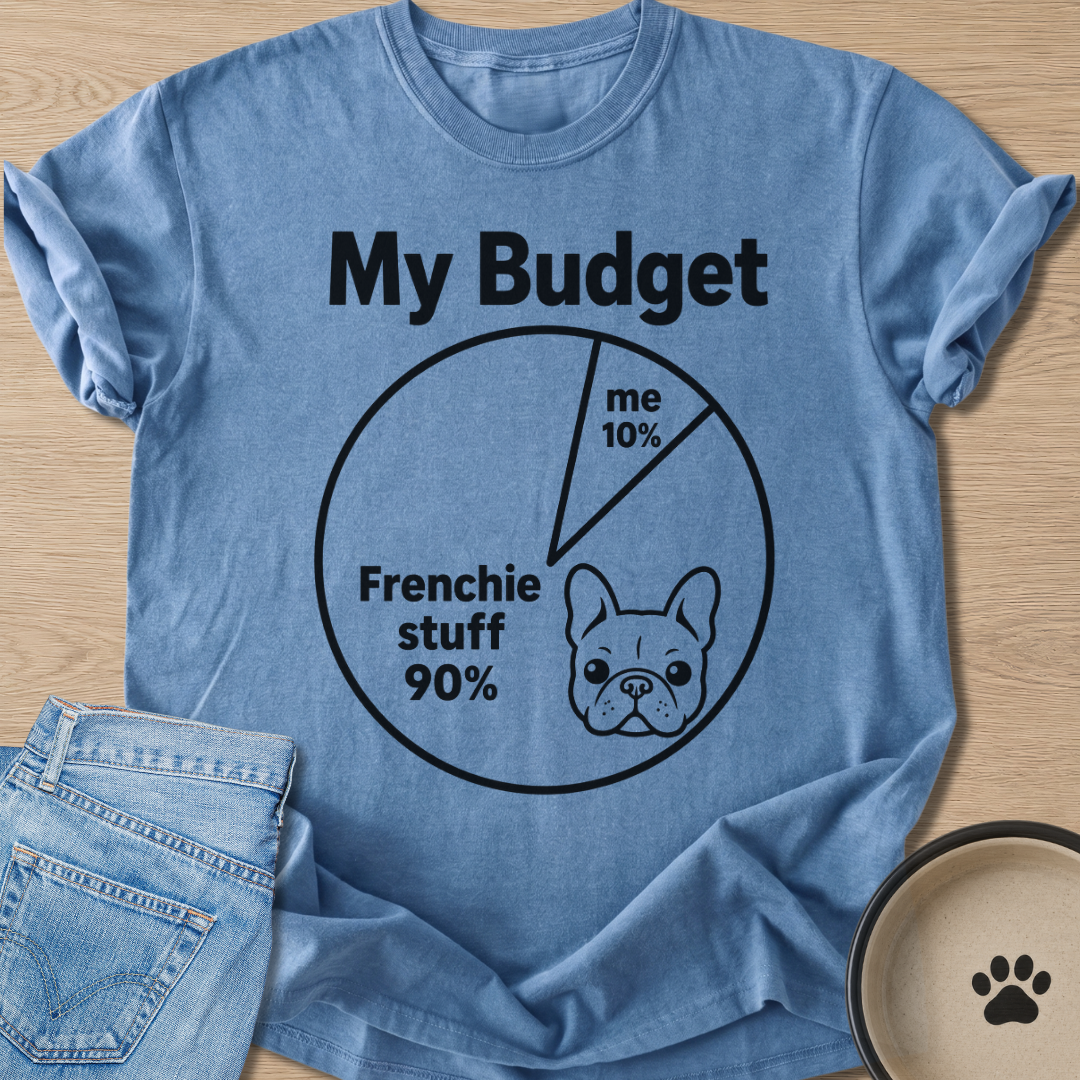 My Budget T-shirt