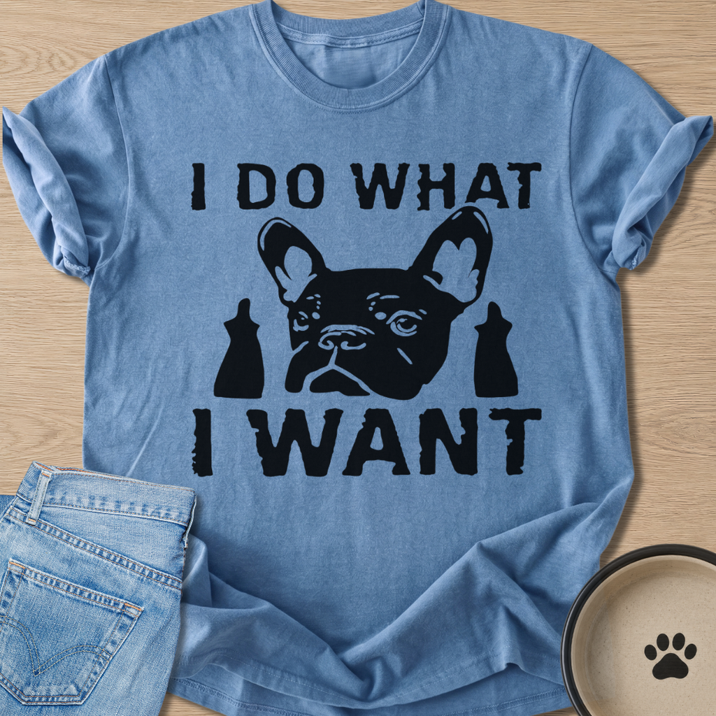I Do What I Want T-shirt