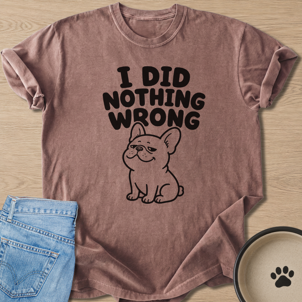 I Did Nothing Wrong T-shirt