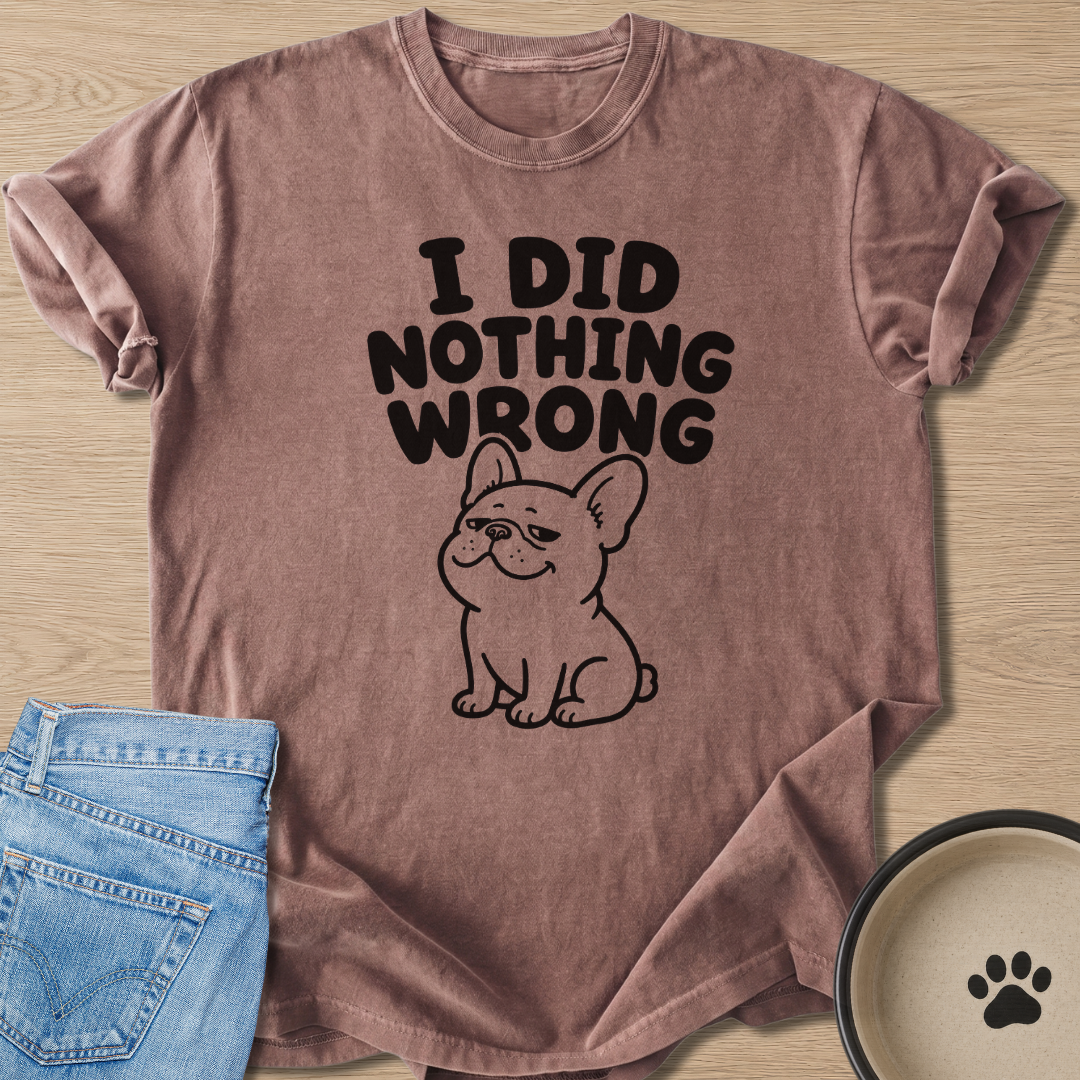 I Did Nothing Wrong T-shirt
