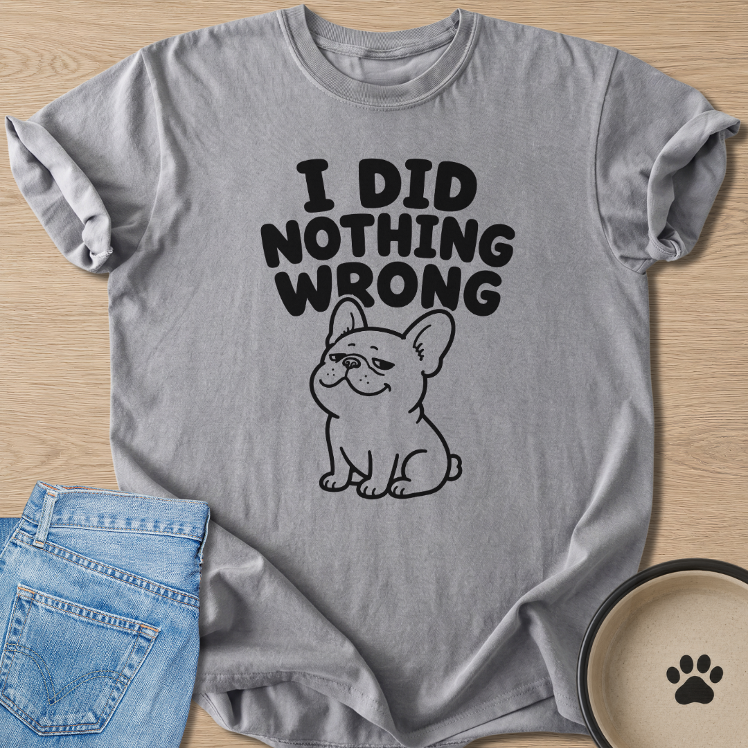 I Did Nothing Wrong T-shirt