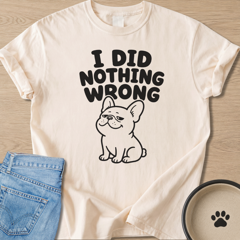 I Did Nothing Wrong T-shirt