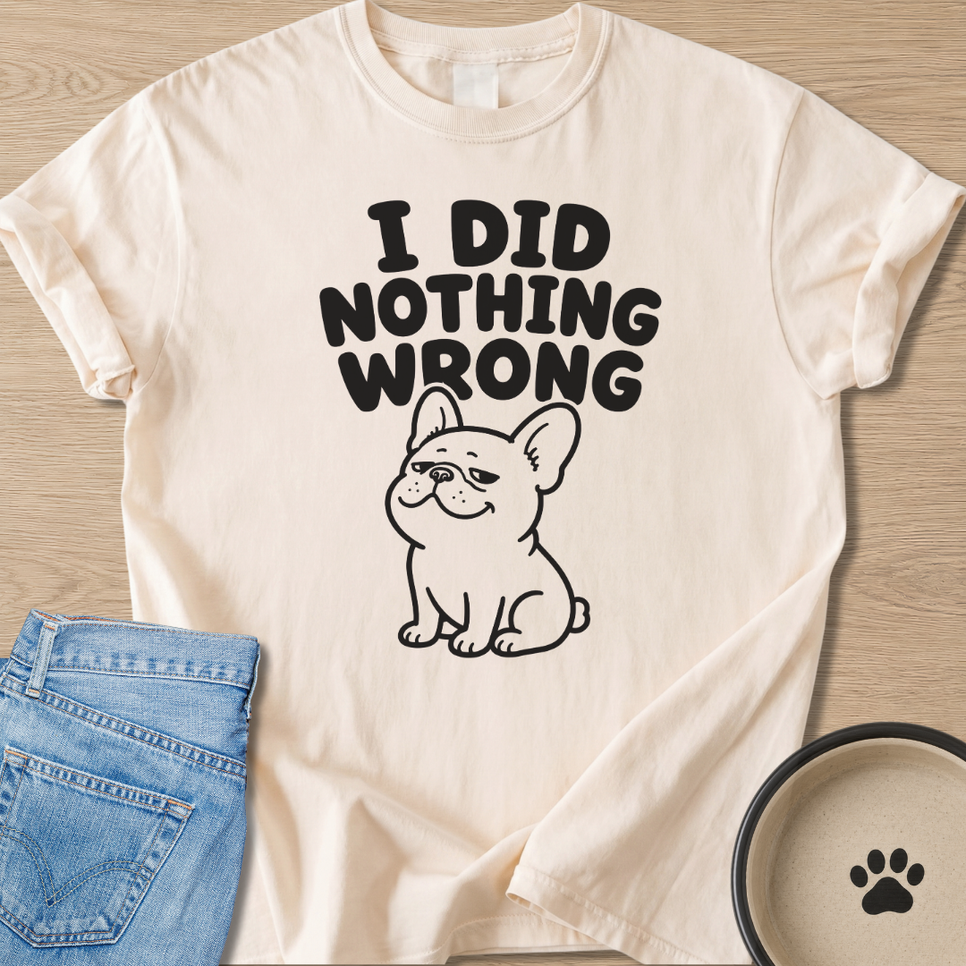 I Did Nothing Wrong T-shirt