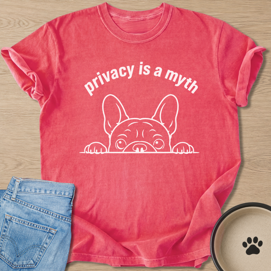 is a myth T-shirt