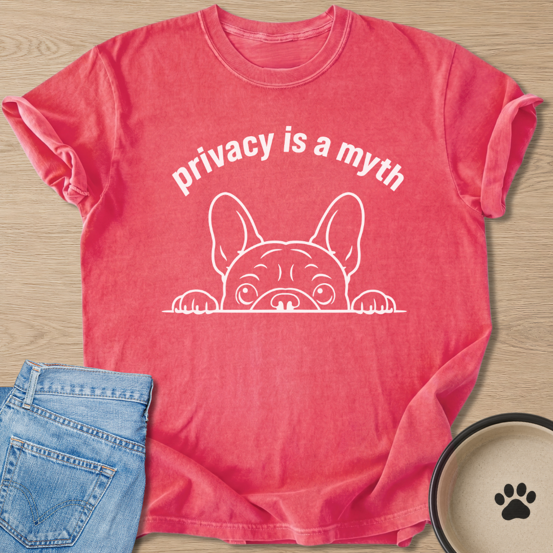 is a myth T-shirt