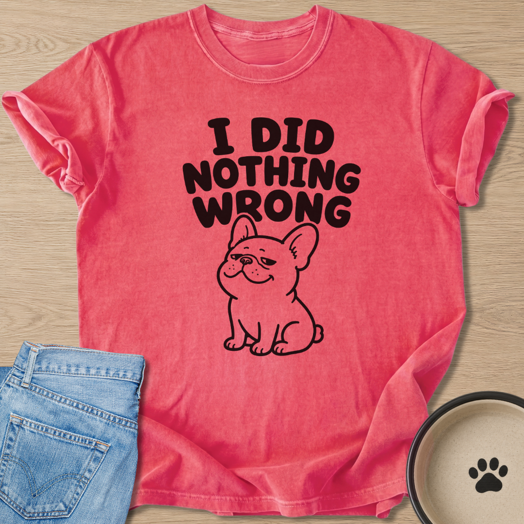 I Did Nothing Wrong T-shirt