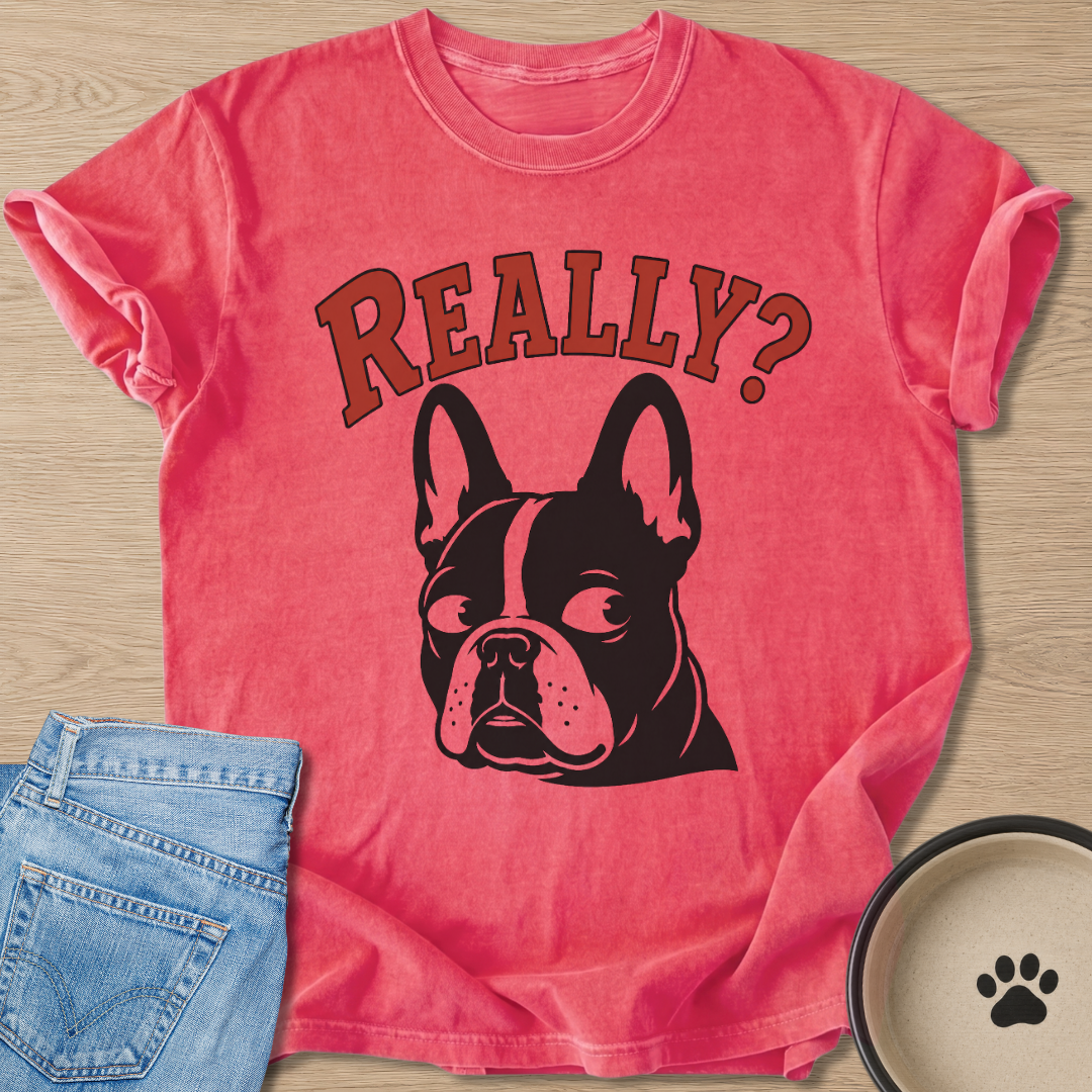 Really? T-shirt