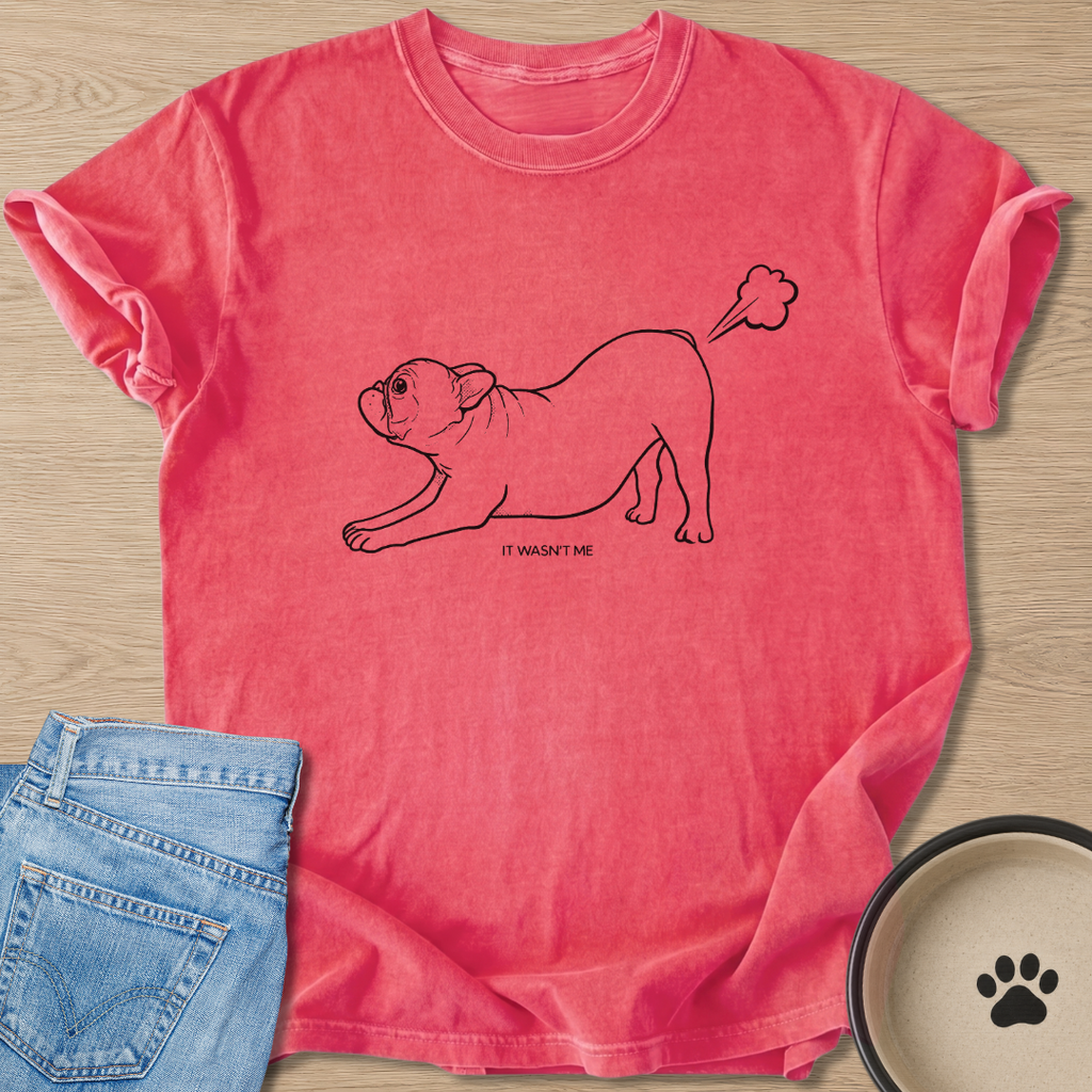 It Wasn't Me T-shirt